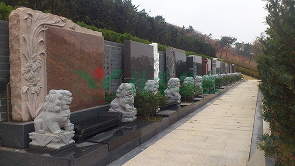 抖圈- 为du而生(中国区)官方网站