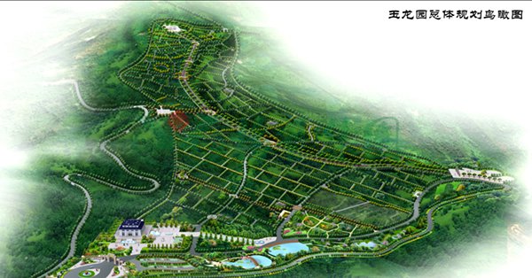 抖圈- 为du而生(中国区)官方网站