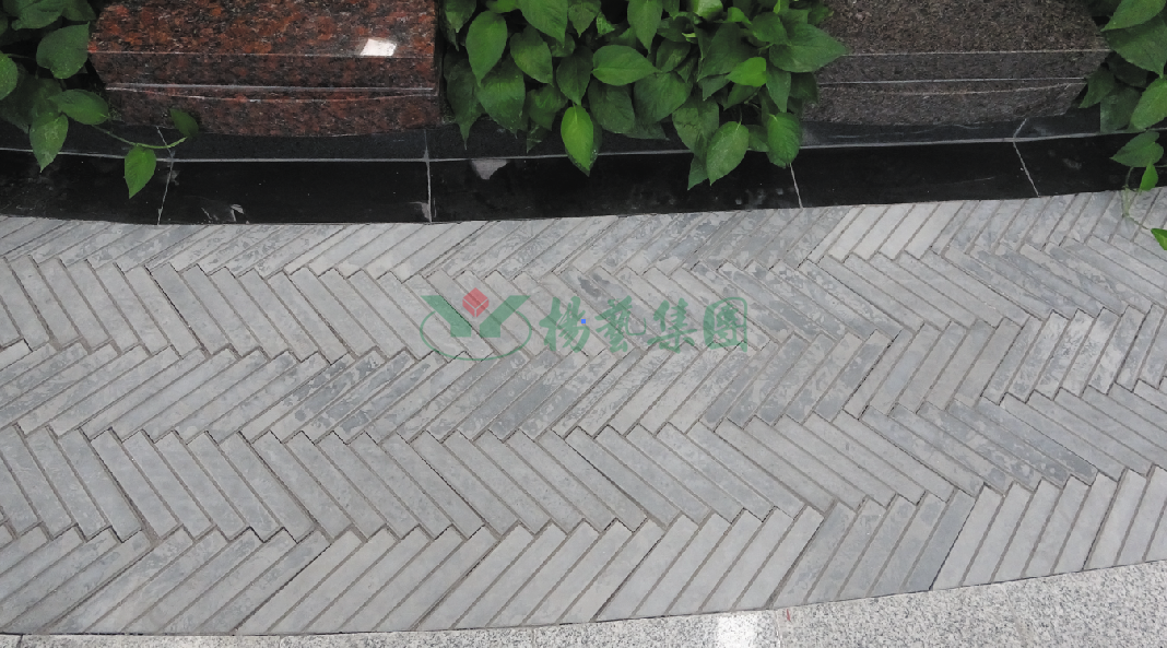 1-22020Q31136458 抖圈- 为du而生(中国区)官方网站