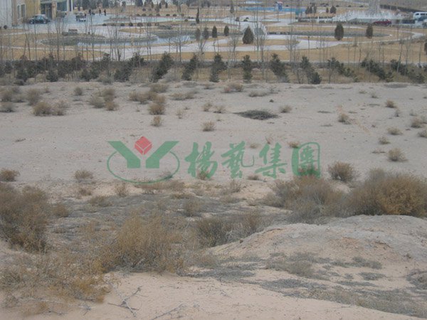 抖圈- 为du而生(中国区)官方网站