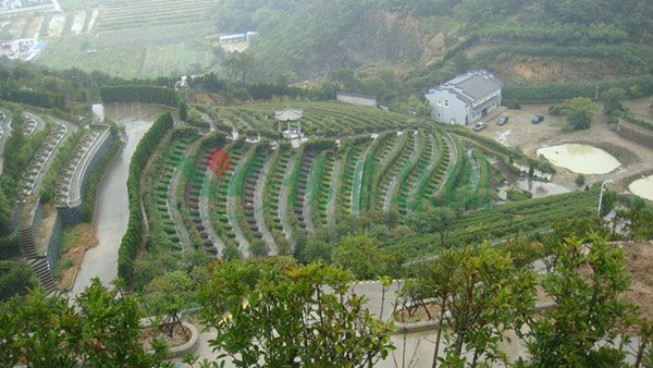 抖圈- 为du而生(中国区)官方网站