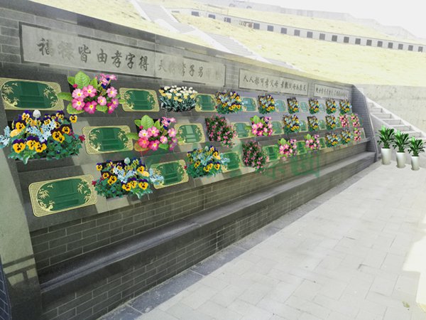 1-2202140RP22R 抖圈- 为du而生(中国区)官方网站