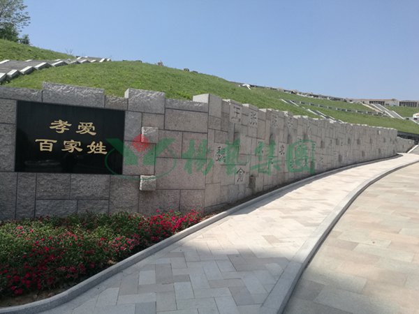 1-2202140RSIY 抖圈- 为du而生(中国区)官方网站