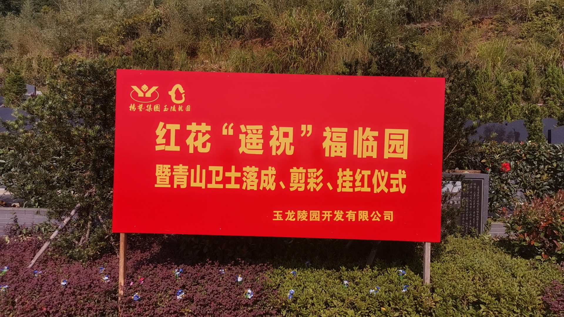 红花传爱意，情满玉龙园！