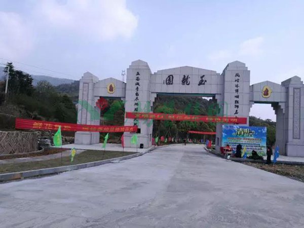 抖圈- 为du而生(中国区)官方网站