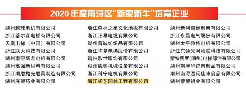 1-220215161120Q6 抖圈- 为du而生(中国区)官方网站