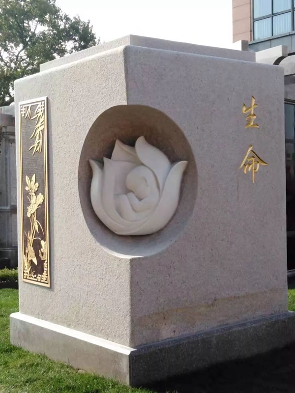 抖圈- 为du而生(中国区)官方网站