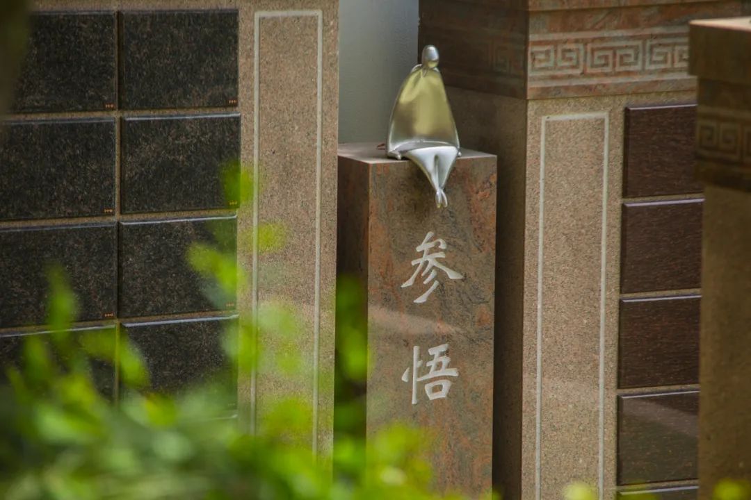 抖圈- 为du而生(中国区)官方网站