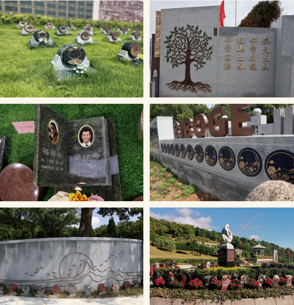 1-230926155IKT 抖圈- 为du而生(中国区)官方网站