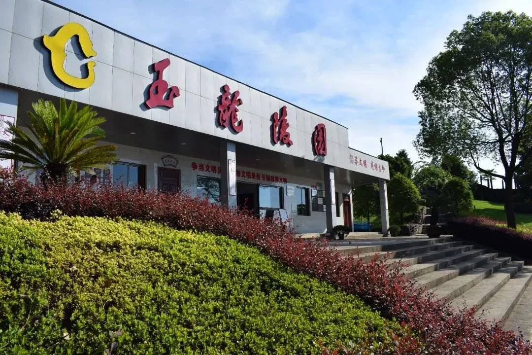 1-231016095455c7 抖圈- 为du而生(中国区)官方网站