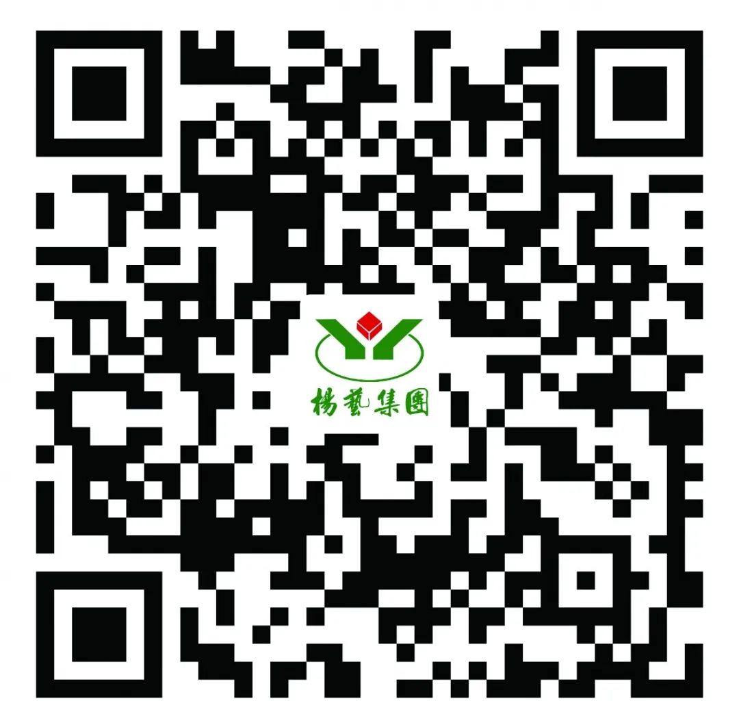 0QZI304-77
