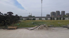 老墓园微刷新，助力城市人文关切