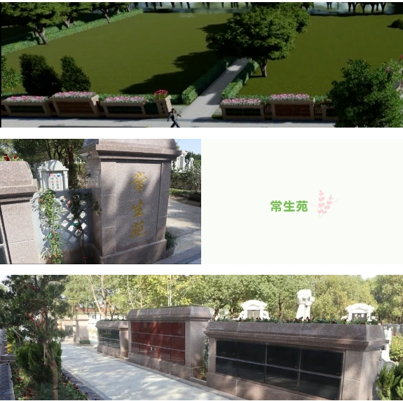 抖圈- 为du而生(中国区)官方网站