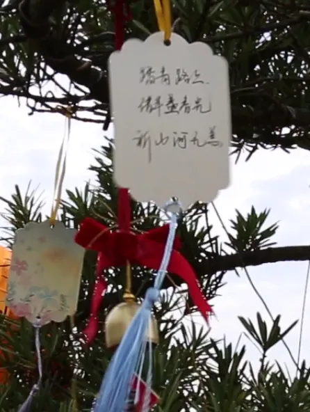 1-240405105614100 抖圈- 为du而生(中国区)官方网站