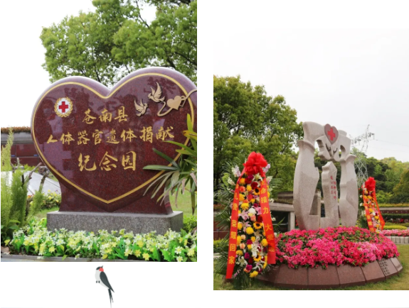 1-2404060951244F 抖圈- 为du而生(中国区)官方网站