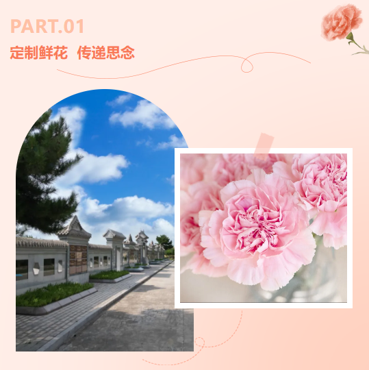 抖圈- 为du而生(中国区)官方网站