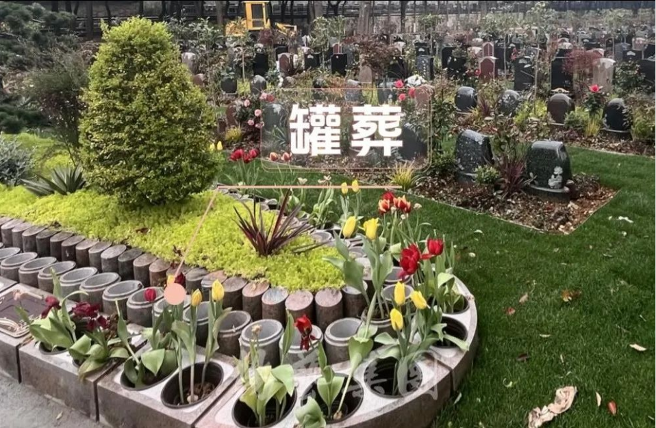 抖圈- 为du而生(中国区)官方网站