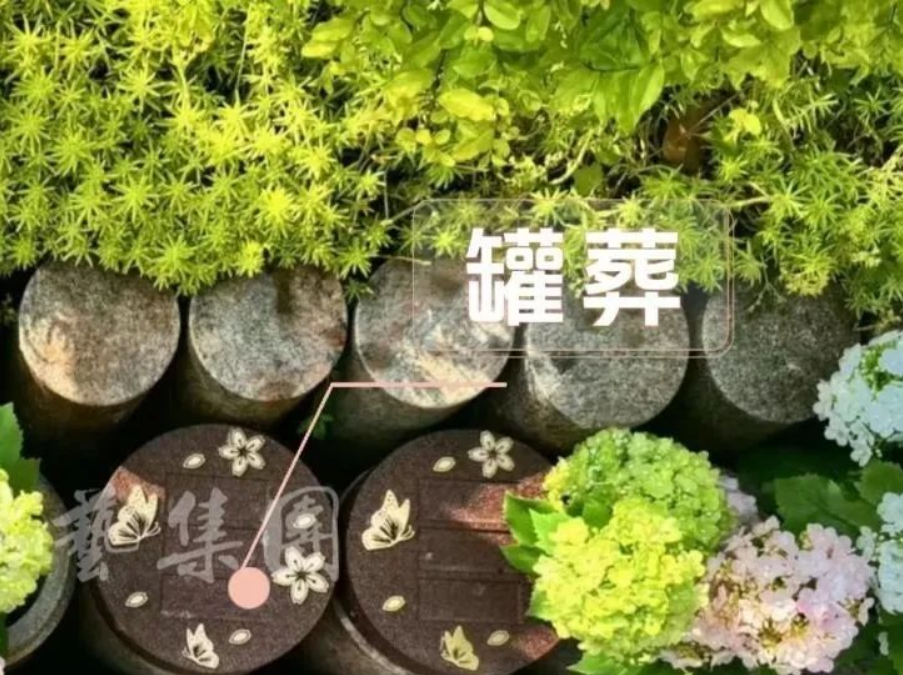 抖圈- 为du而生(中国区)官方网站