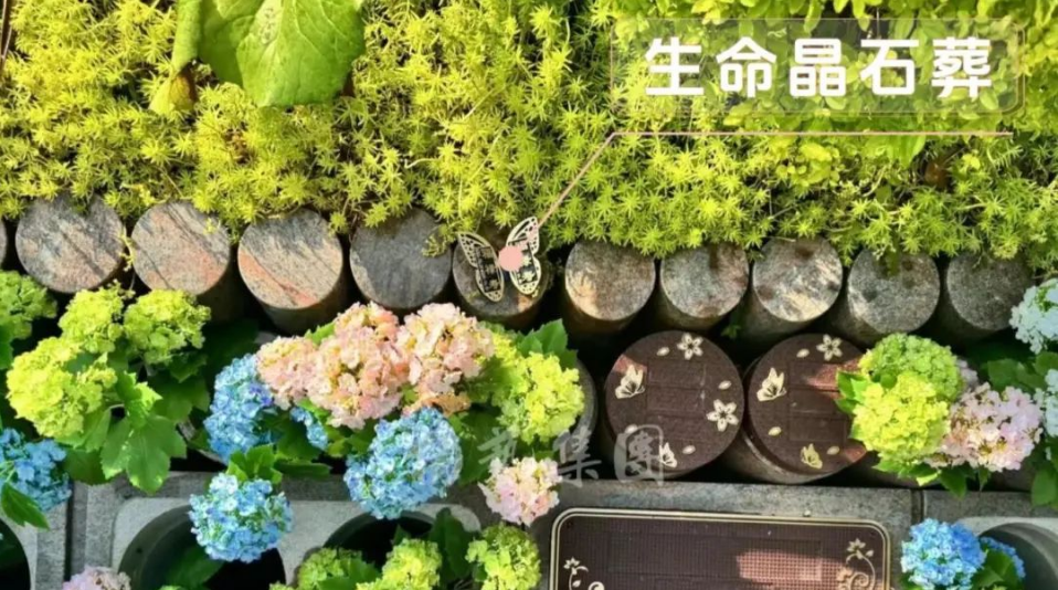 抖圈- 为du而生(中国区)官方网站