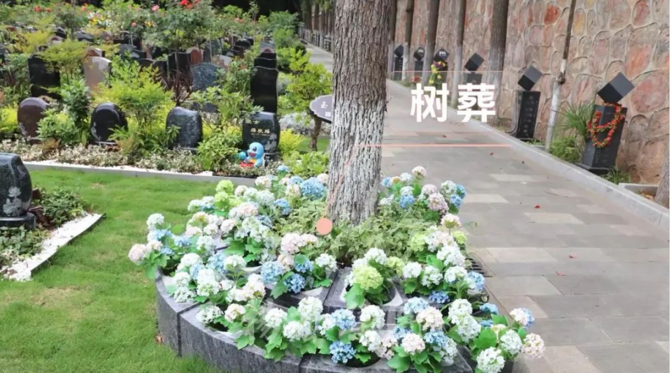 抖圈- 为du而生(中国区)官方网站