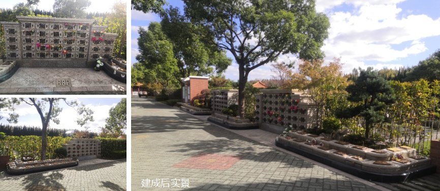 1-240RQ40422349 抖圈- 为du而生(中国区)官方网站