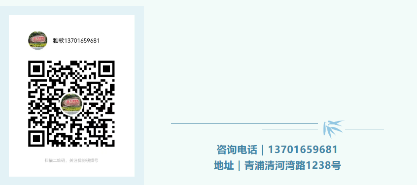 1-240ZG10009162 抖圈- 为du而生(中国区)官方网站