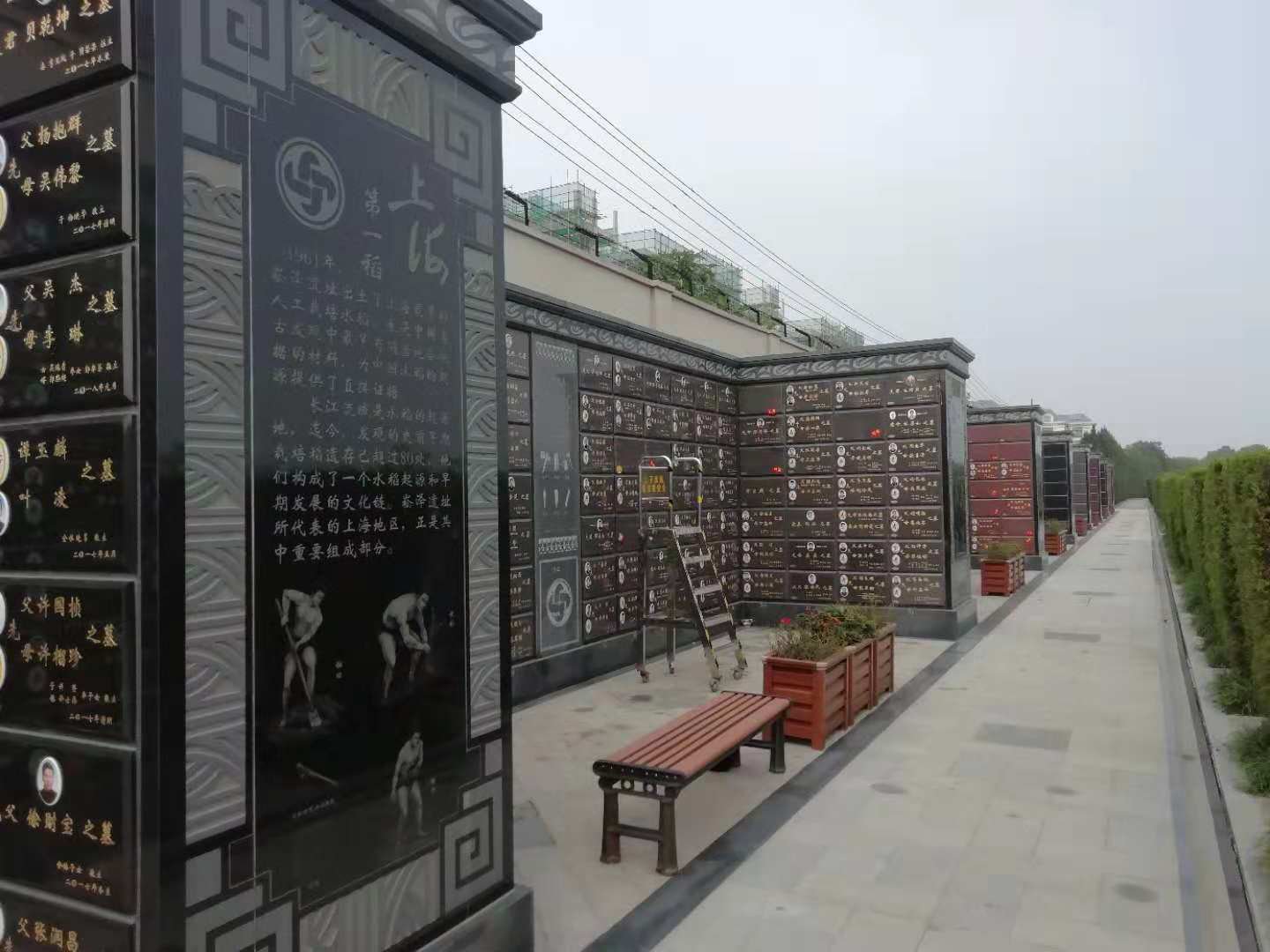 1-24100ZUR3438 抖圈- 为du而生(中国区)官方网站
