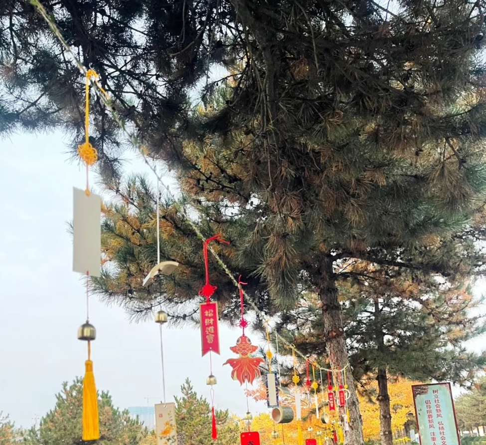 1-24110115550E18 抖圈- 为du而生(中国区)官方网站
