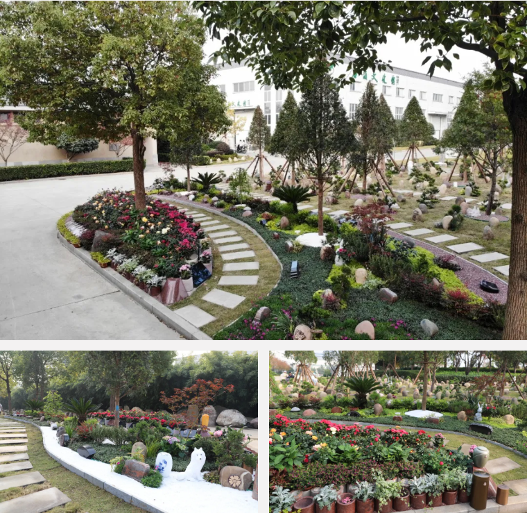 1-2412230920003G 抖圈- 为du而生(中国区)官方网站