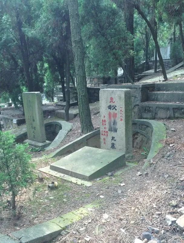 1-2502241046264F 抖圈- 为du而生(中国区)官方网站