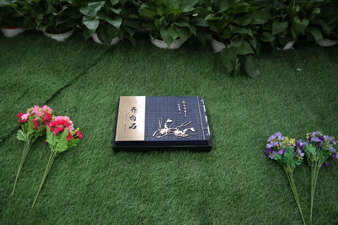 1-25022Q42101146 抖圈- 为du而生(中国区)官方网站
