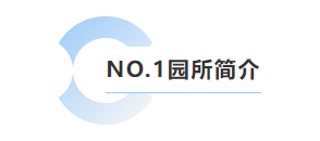 1-25052G106193a 抖圈- 为du而生(中国区)官方网站