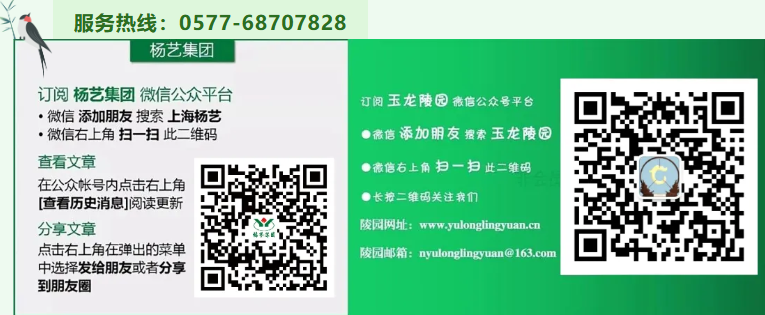 1-260403102PRZ 抖圈- 为du而生(中国区)官方网站