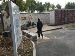 以心为笔，绘就可落地的性命花圃