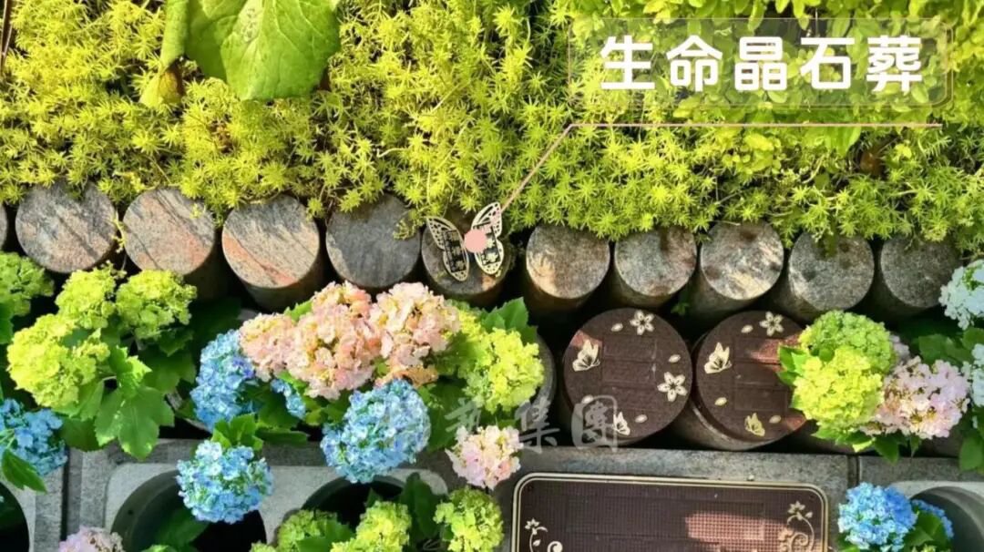 抖圈- 为du而生(中国区)官方网站